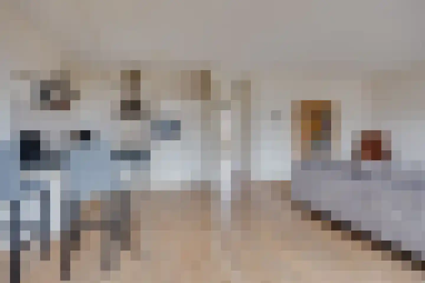 Maximaplein 6 Leusden thumbnail 6