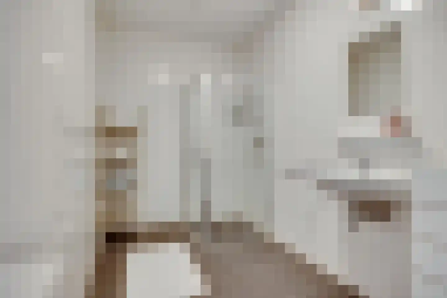 Maximaplein 6 Leusden thumbnail 9