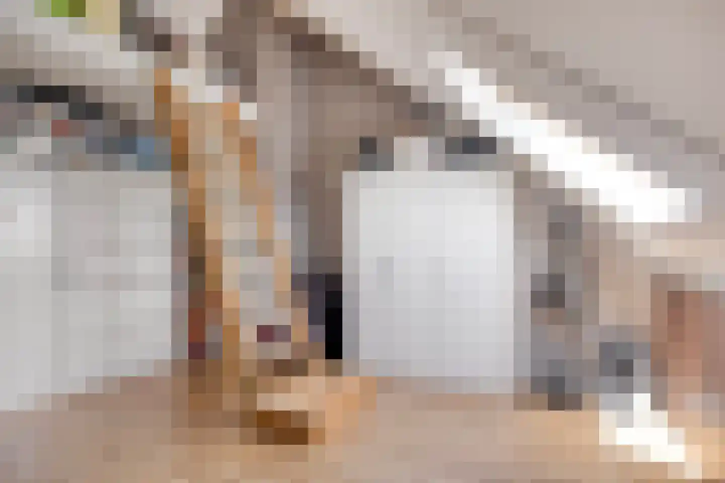 Maximastraat 1 Nieuw-Beijerland thumbnail 29