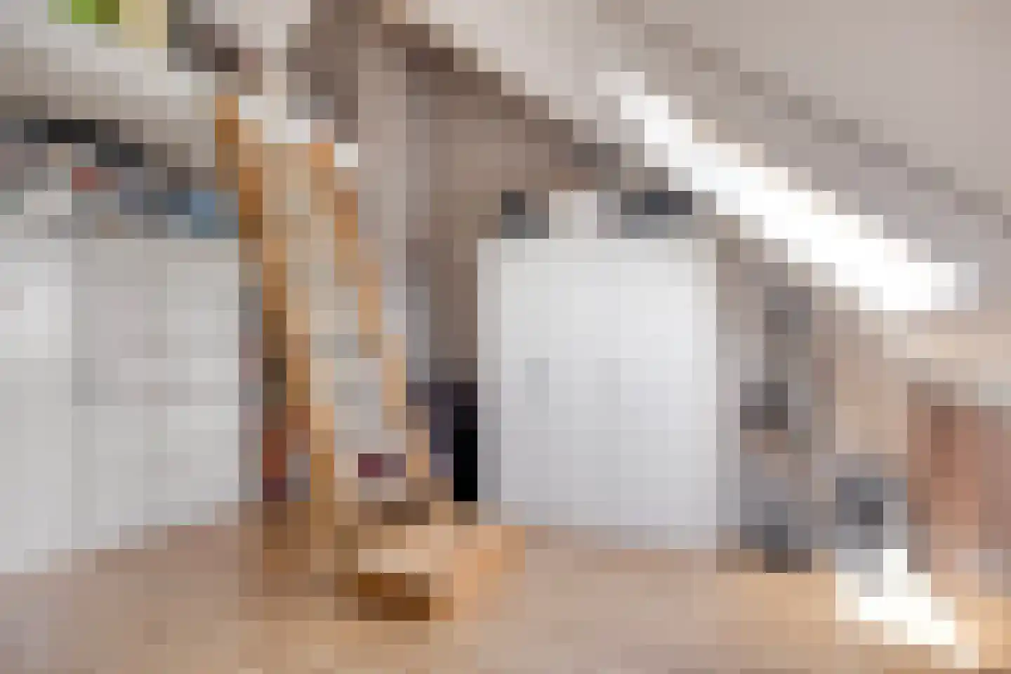 Maximastraat 1 Nieuw-Beijerland thumbnail 29