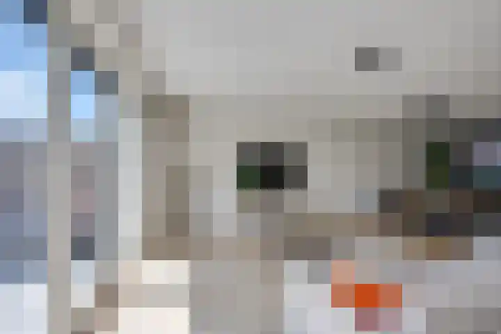 Maximastraat 12 St. Willebrord thumbnail 10