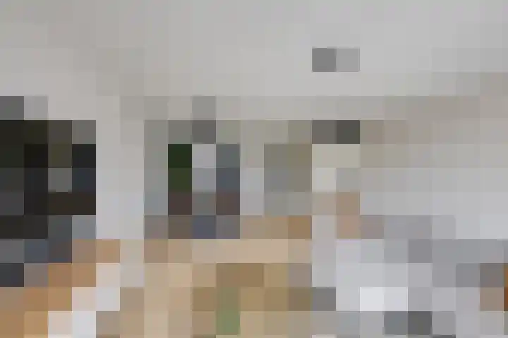 Maximastraat 12 St. Willebrord thumbnail 11