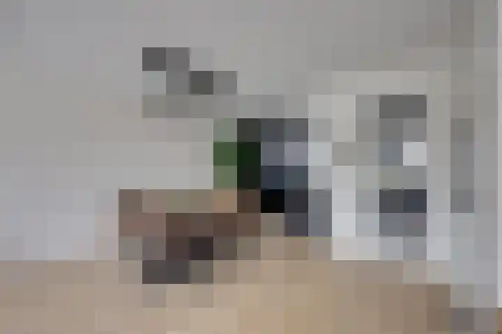 Maximastraat 12 St. Willebrord thumbnail 13
