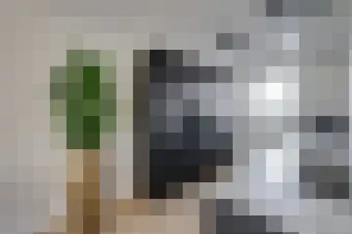 Maximastraat 12 St. Willebrord thumbnail 14