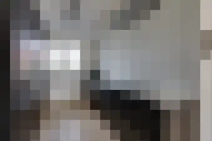 Maximastraat 12 St. Willebrord thumbnail 15