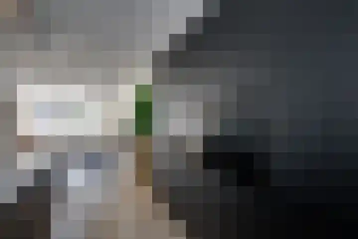 Maximastraat 12 St. Willebrord thumbnail 17