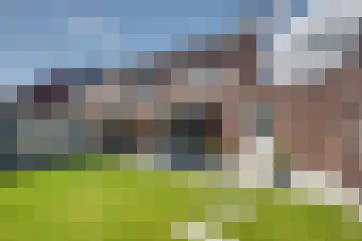 Maximastraat 12 St. Willebrord thumbnail 33