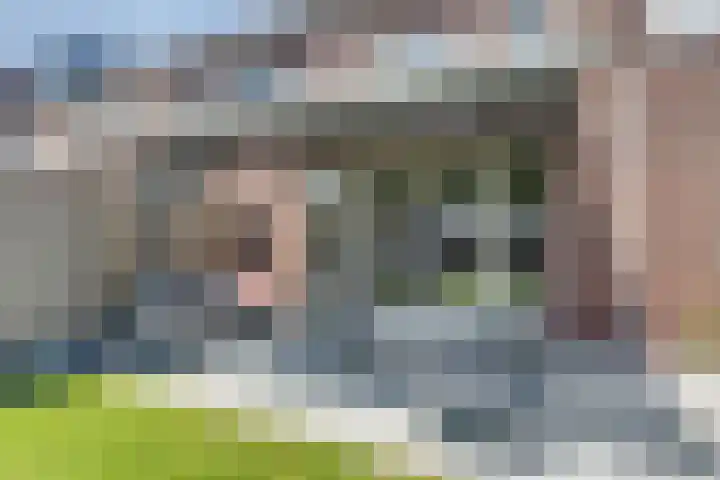 Maximastraat 12 St. Willebrord thumbnail 34