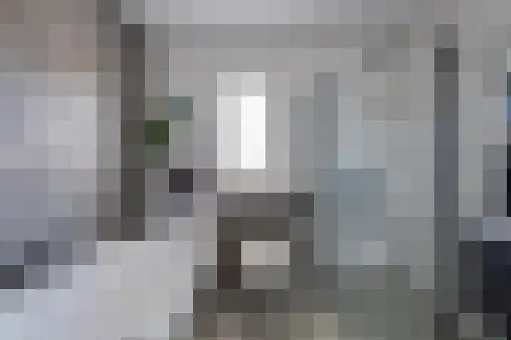 Maximastraat 12 St. Willebrord thumbnail 4