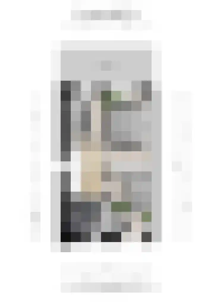 Maximastraat 12 St. Willebrord thumbnail 45
