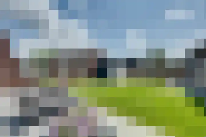 Maximastraat 12 St. Willebrord thumbnail 5