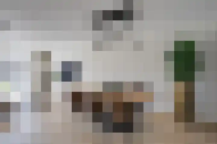 Maximastraat 12 St. Willebrord thumbnail 8