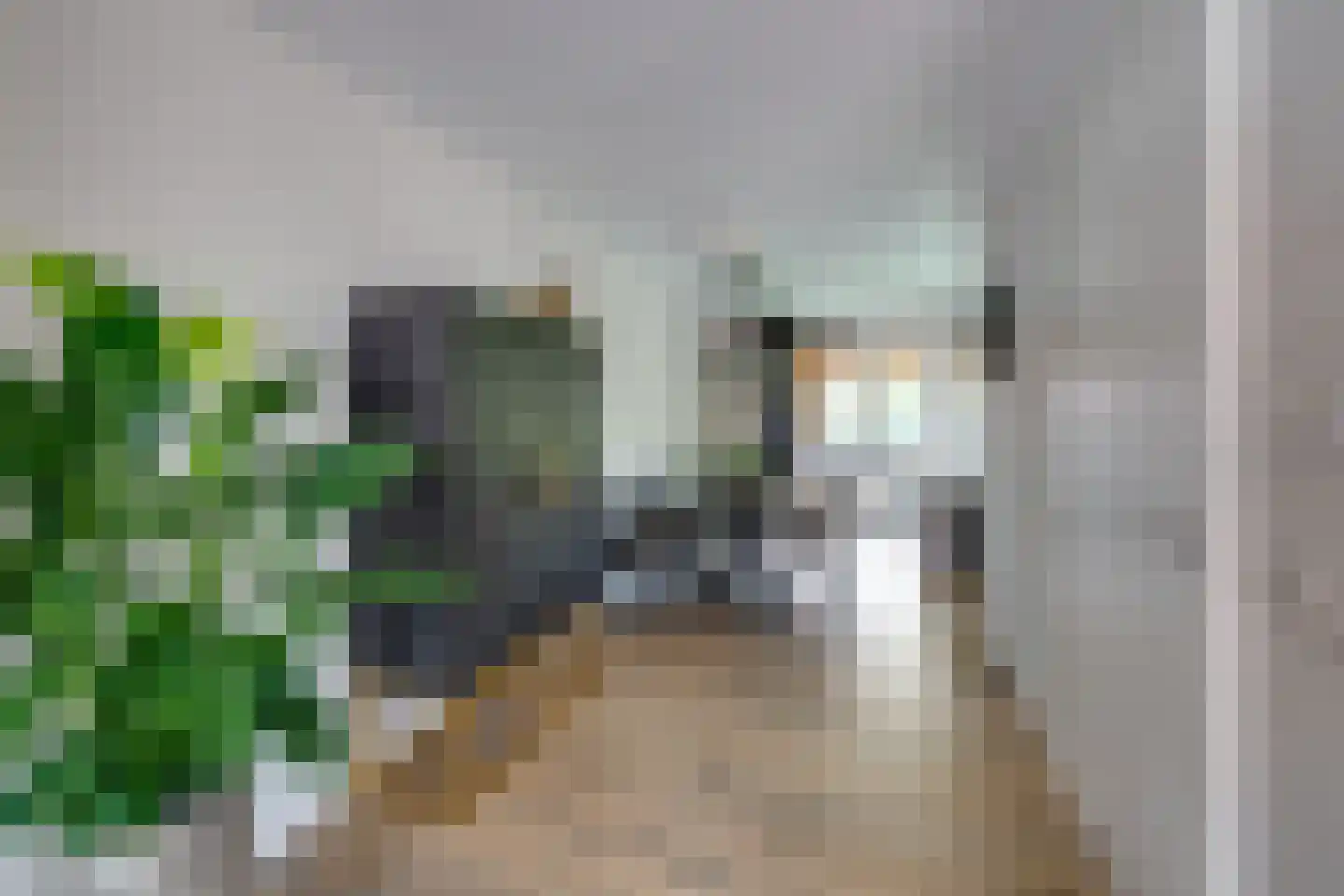 Maximastraat 15 St. Willebrord thumbnail 10