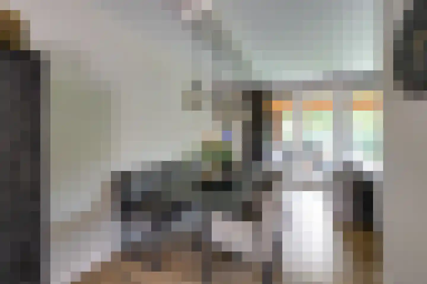 Maximastraat 15 St. Willebrord thumbnail 11
