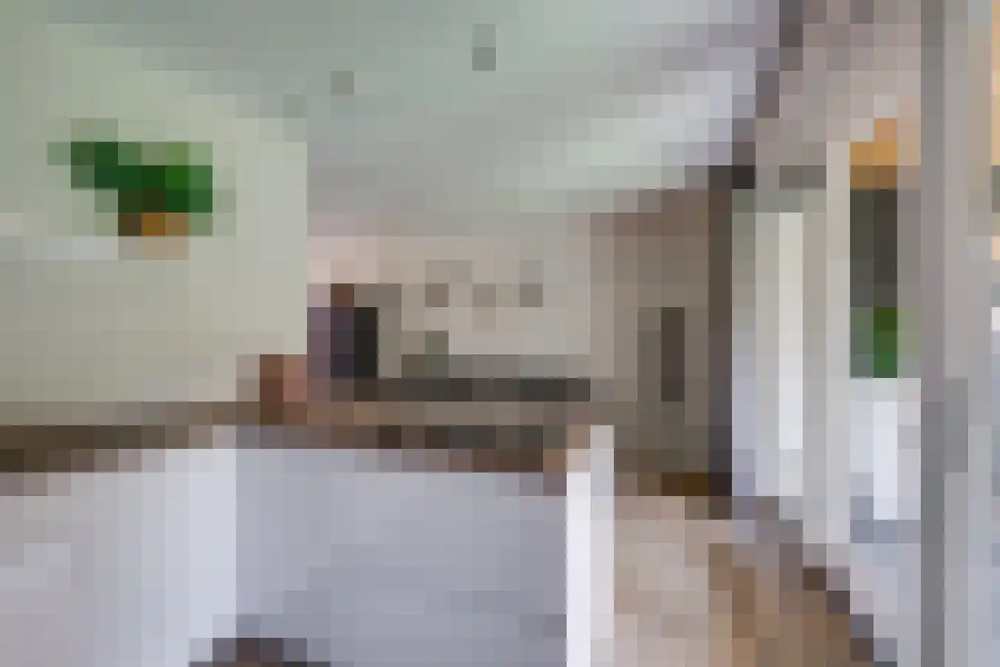 Maximastraat 15 St. Willebrord thumbnail 14