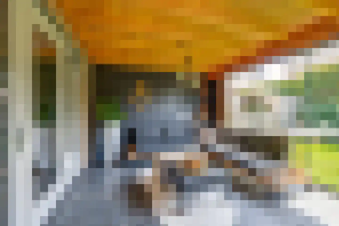 Maximastraat 15 St. Willebrord thumbnail 16