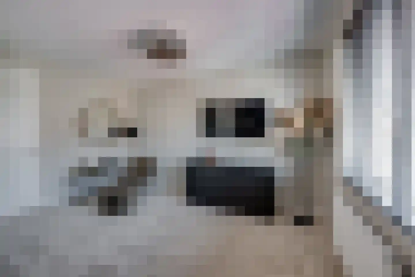 Maximastraat 15 St. Willebrord thumbnail 19
