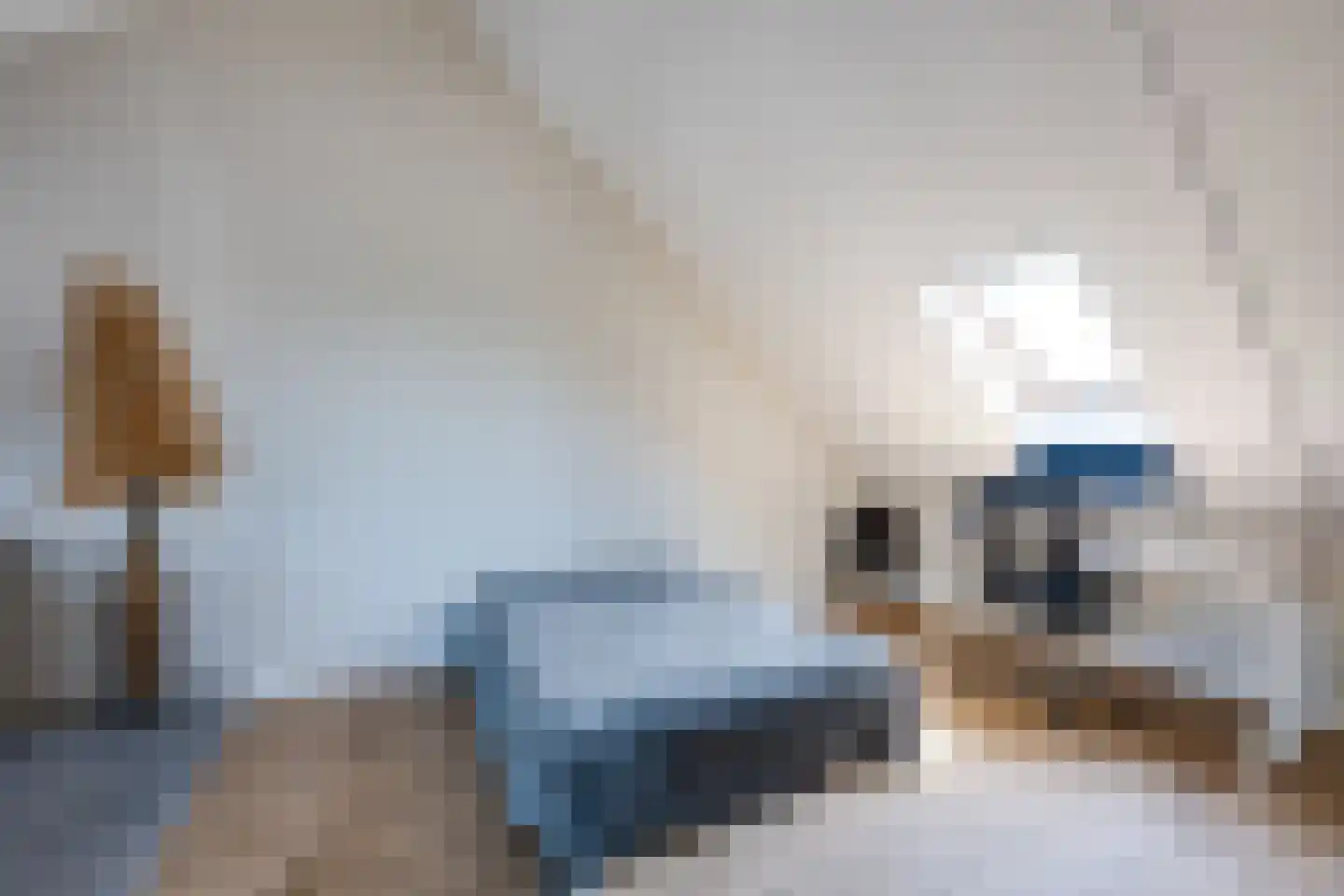 Maximastraat 15 St. Willebrord thumbnail 28
