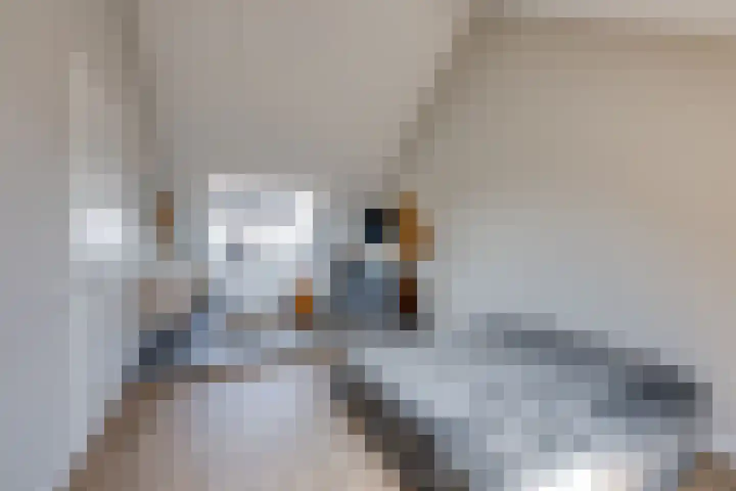 Maximastraat 15 St. Willebrord thumbnail 29