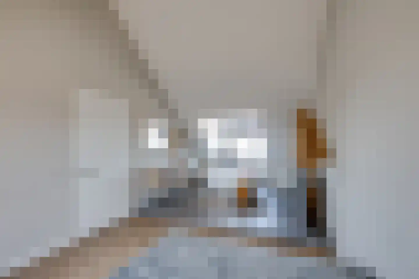 Maximastraat 15 St. Willebrord thumbnail 30