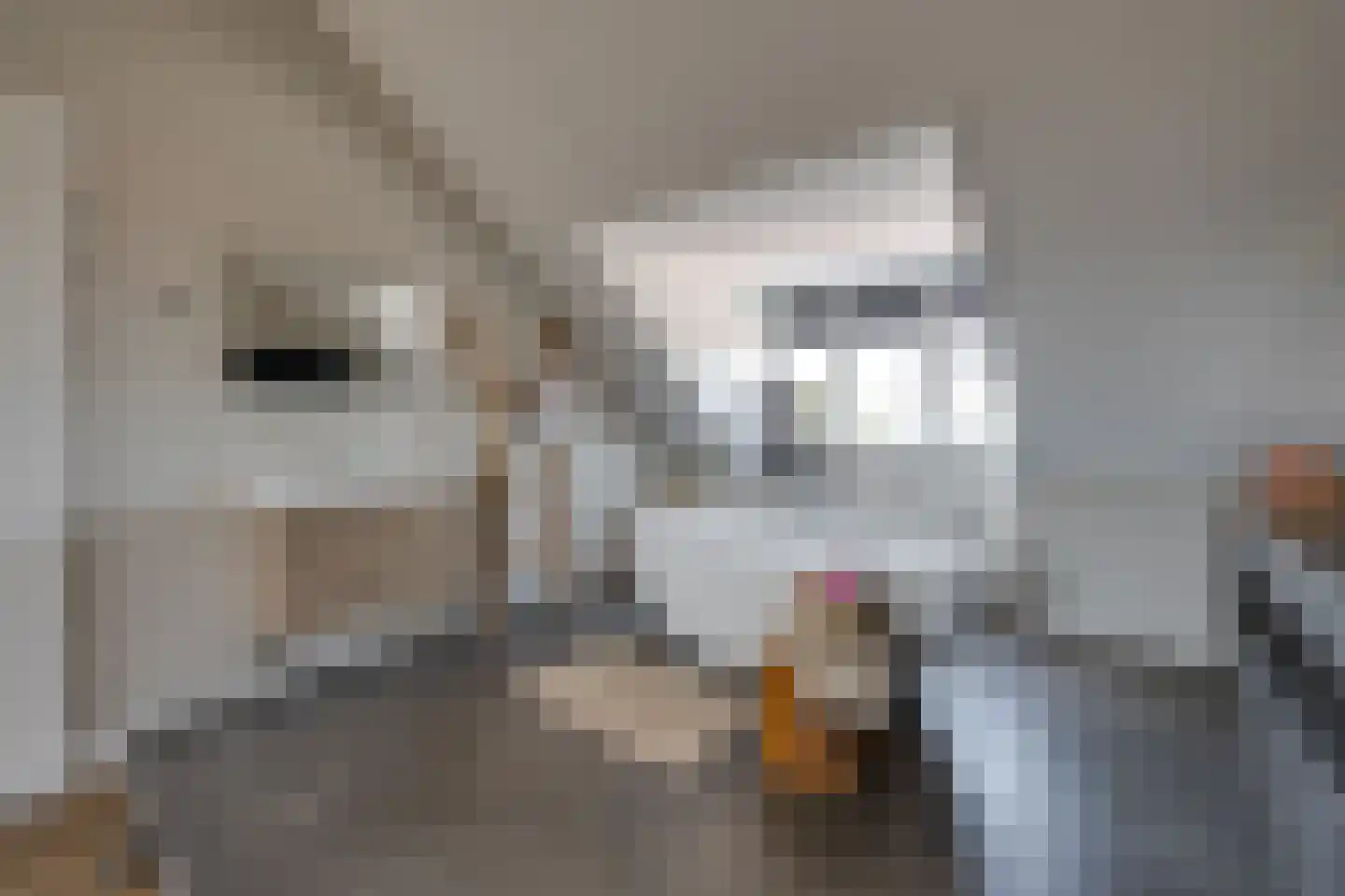 Maximastraat 15 St. Willebrord thumbnail 31