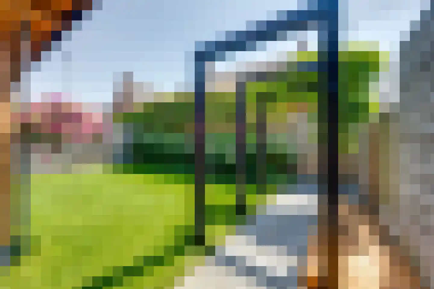 Maximastraat 15 St. Willebrord thumbnail 38