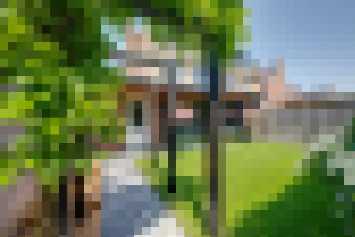 Maximastraat 15 St. Willebrord thumbnail 39