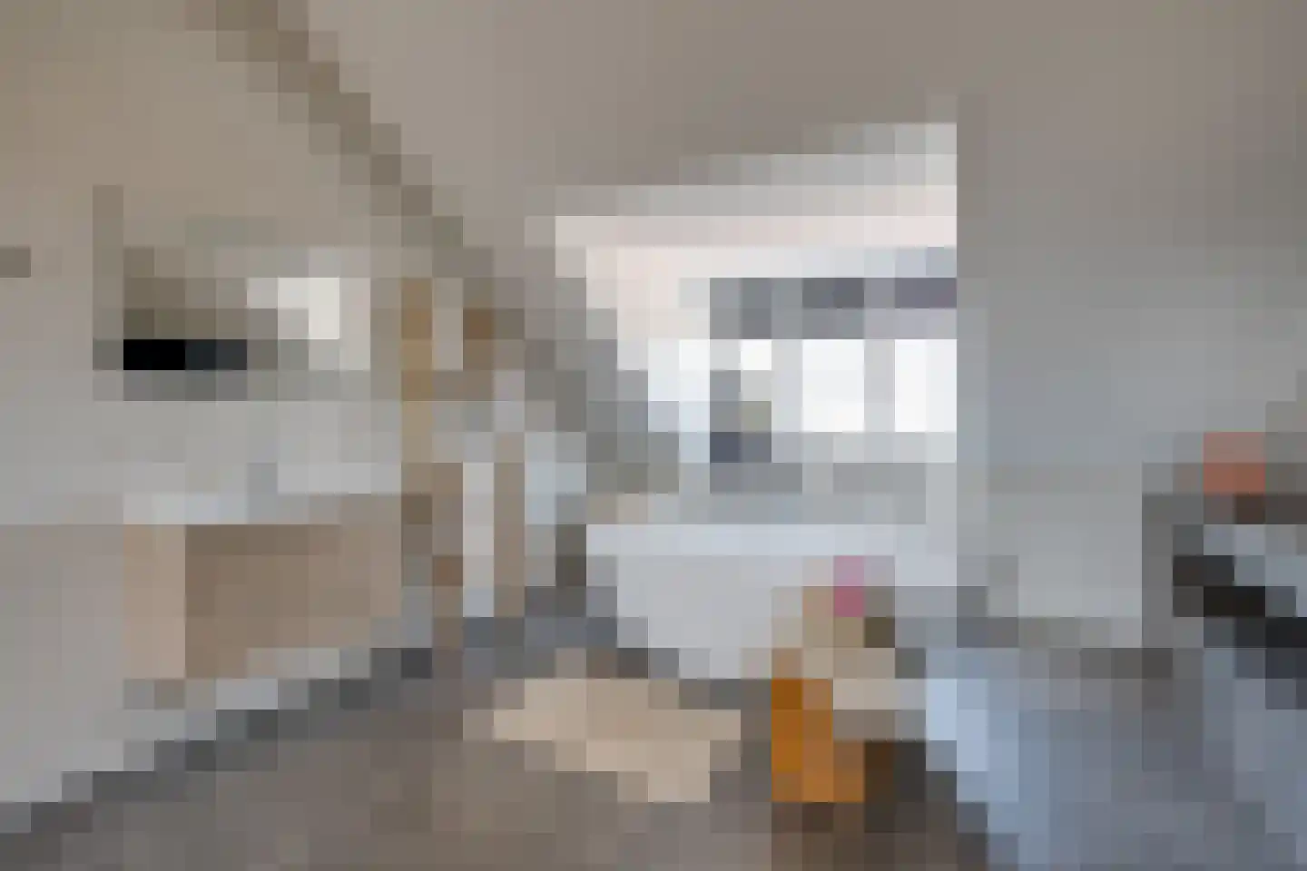 Maximastraat 15 St. Willebrord thumbnail 4