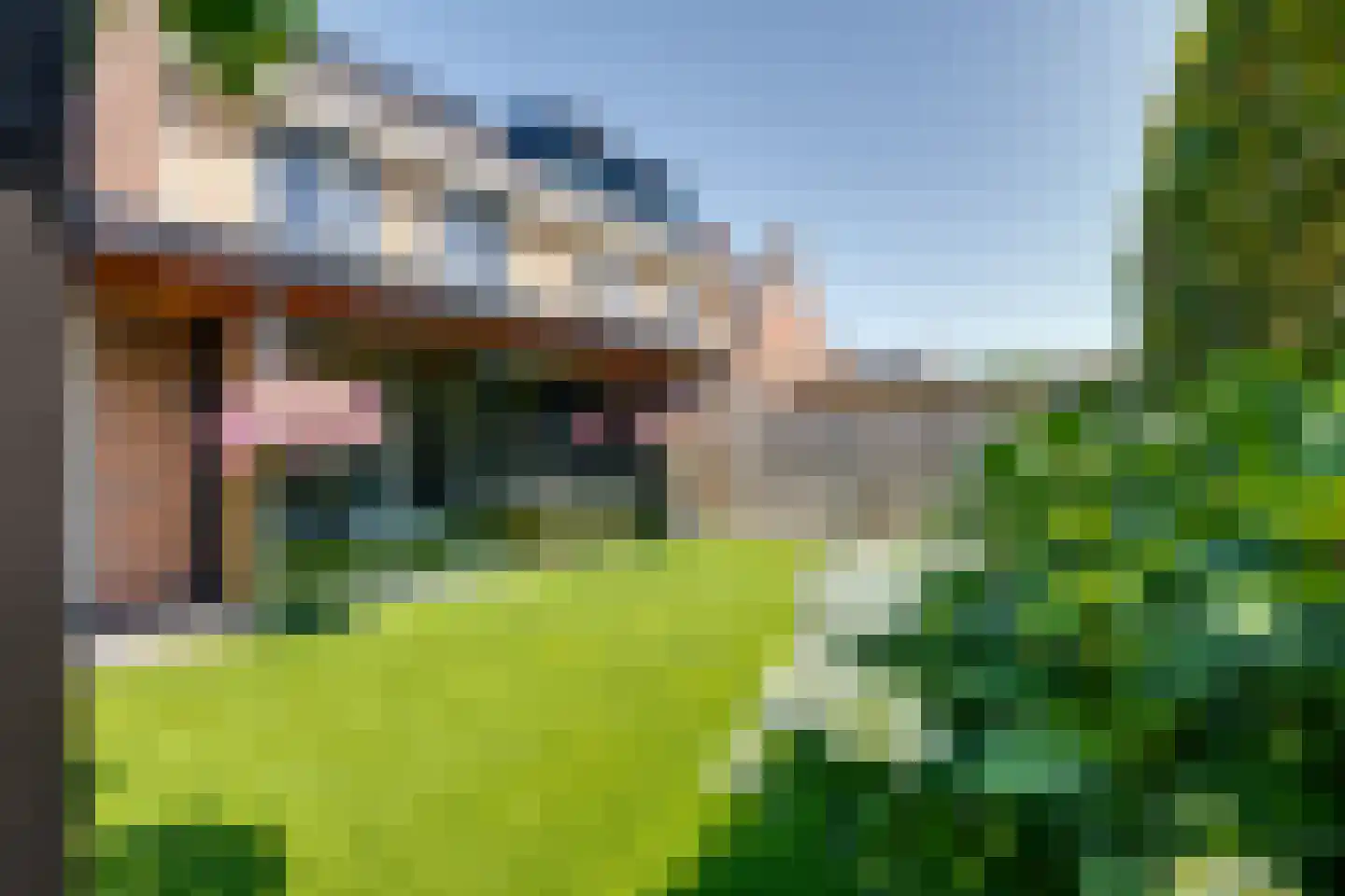 Maximastraat 15 St. Willebrord thumbnail 40