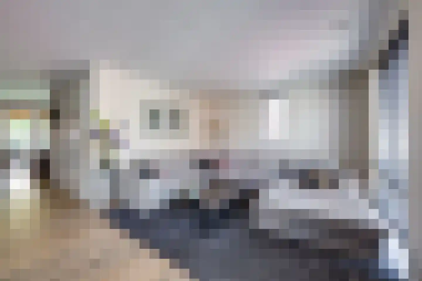Maximastraat 15 St. Willebrord thumbnail 7