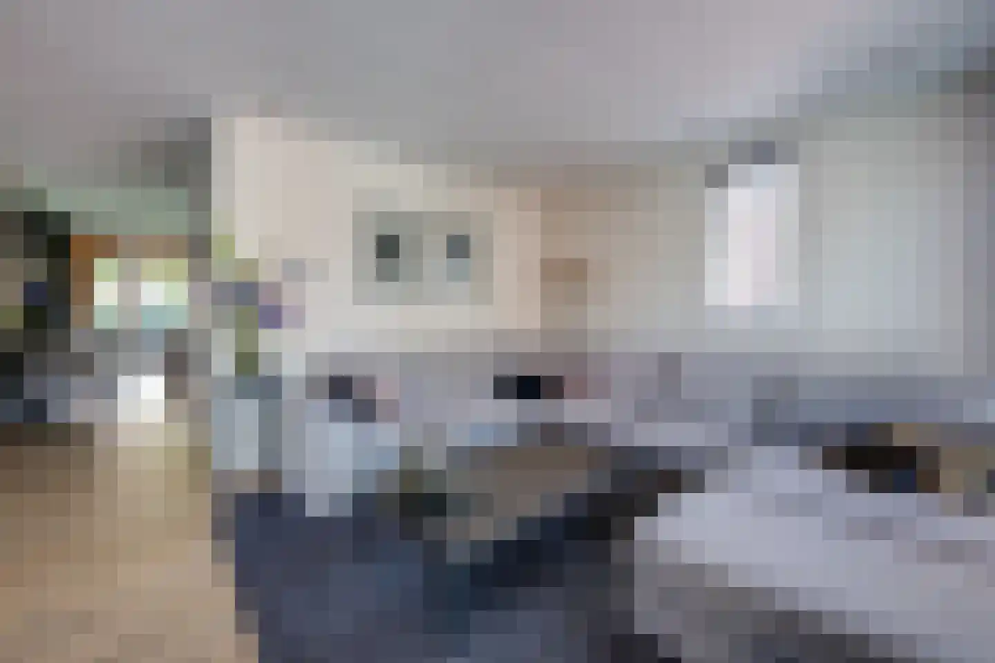 Maximastraat 15 St. Willebrord thumbnail 8
