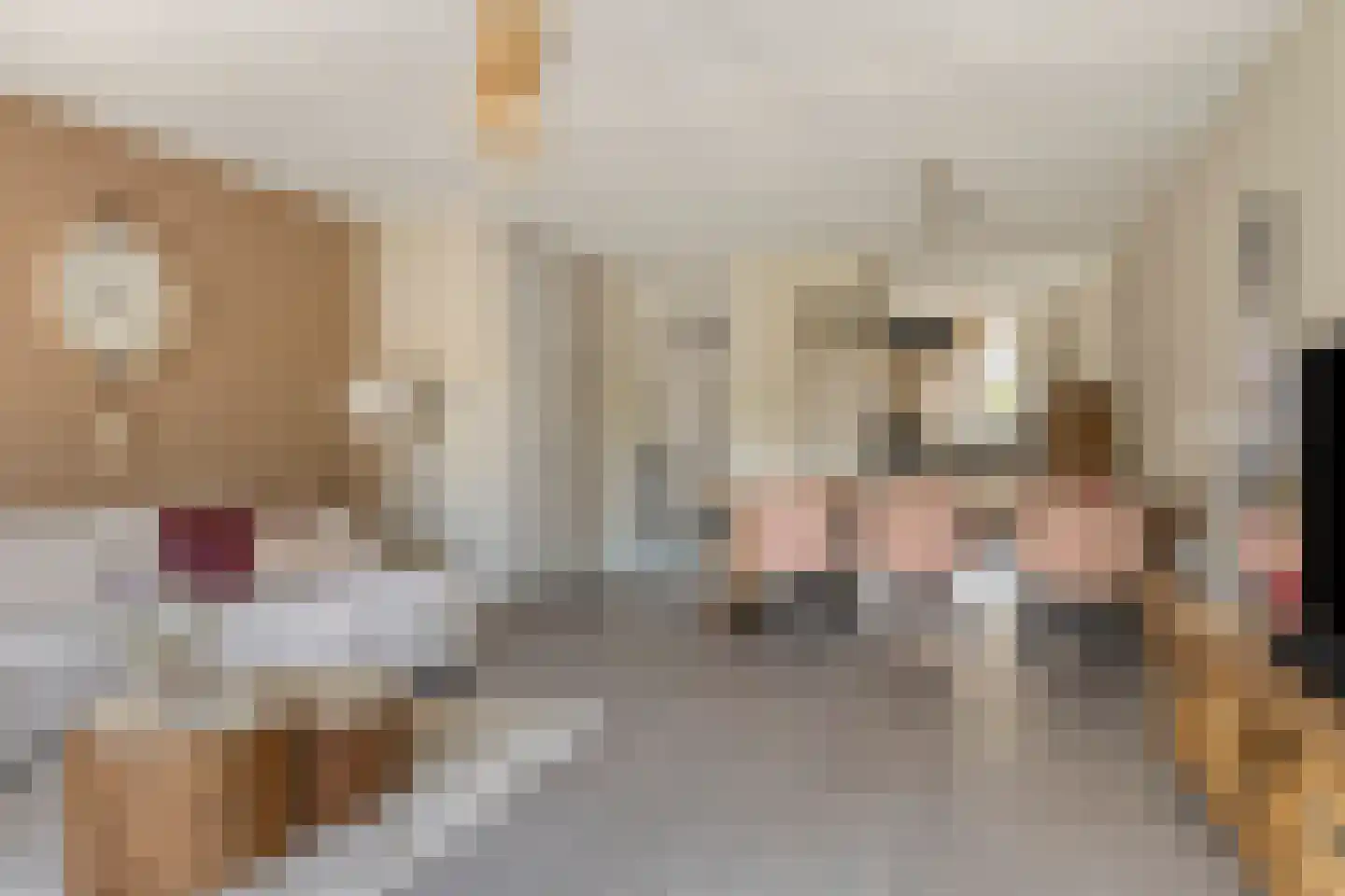 Maximastraat 48 St. Willebrord thumbnail 11