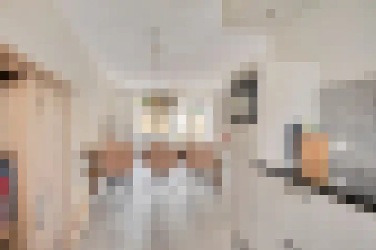 Maximastraat 48 St. Willebrord thumbnail 12