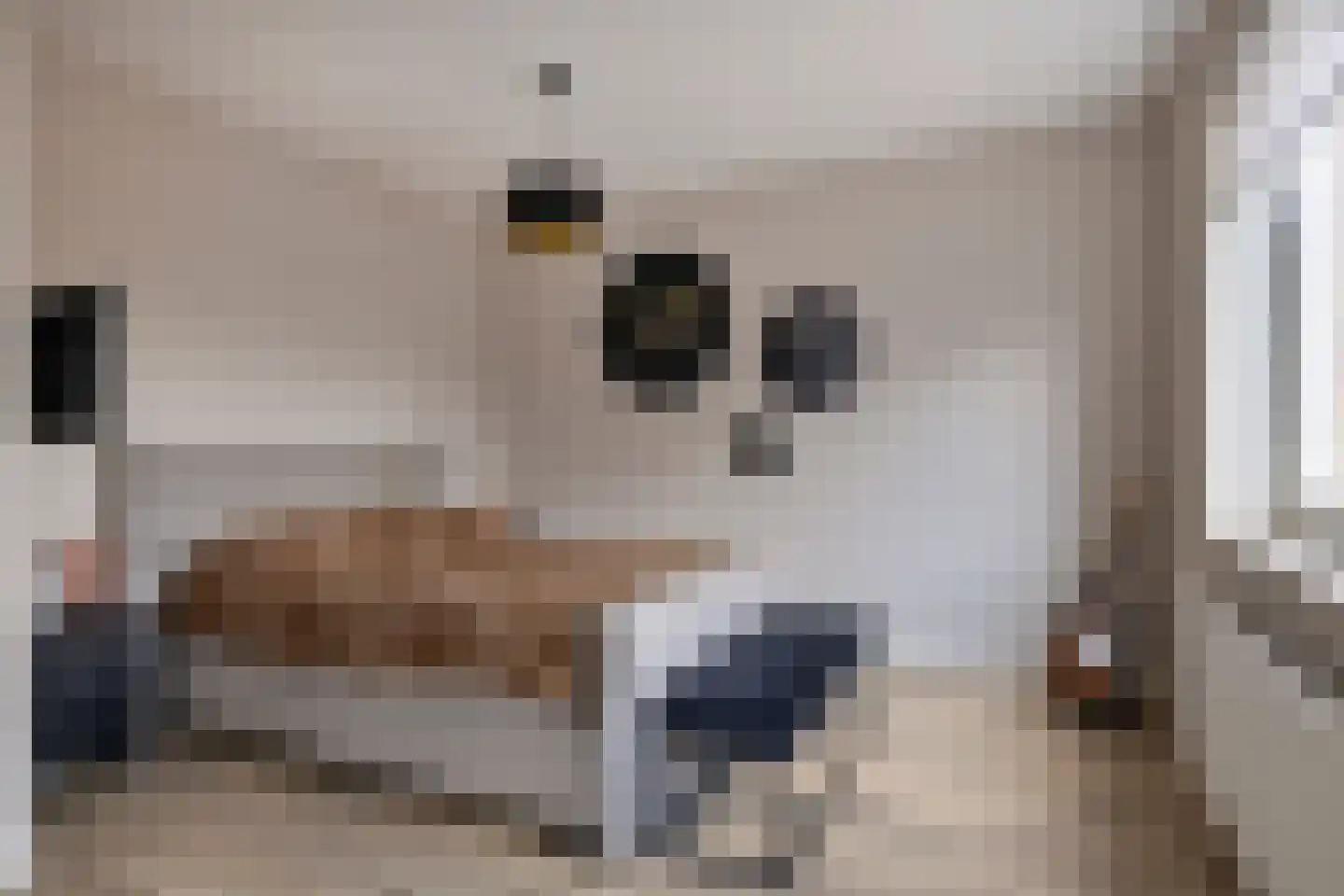 Maximastraat 48 St. Willebrord thumbnail 18