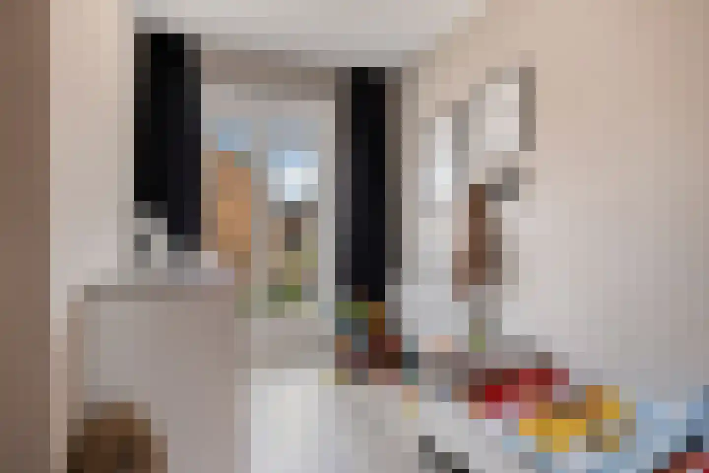 Maximastraat 48 St. Willebrord thumbnail 21