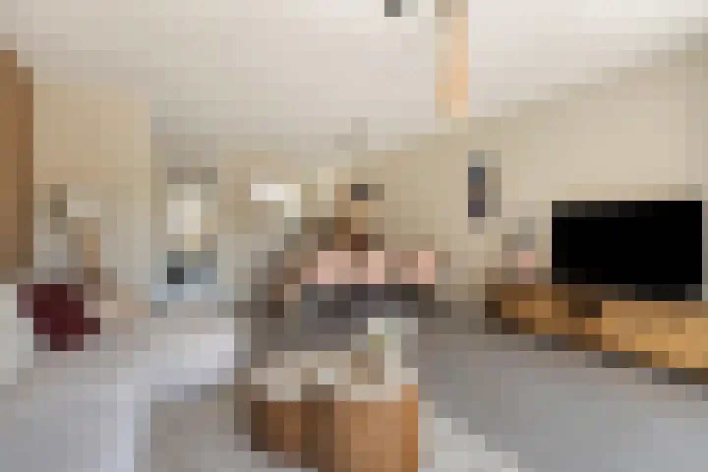 Maximastraat 48 St. Willebrord thumbnail 7