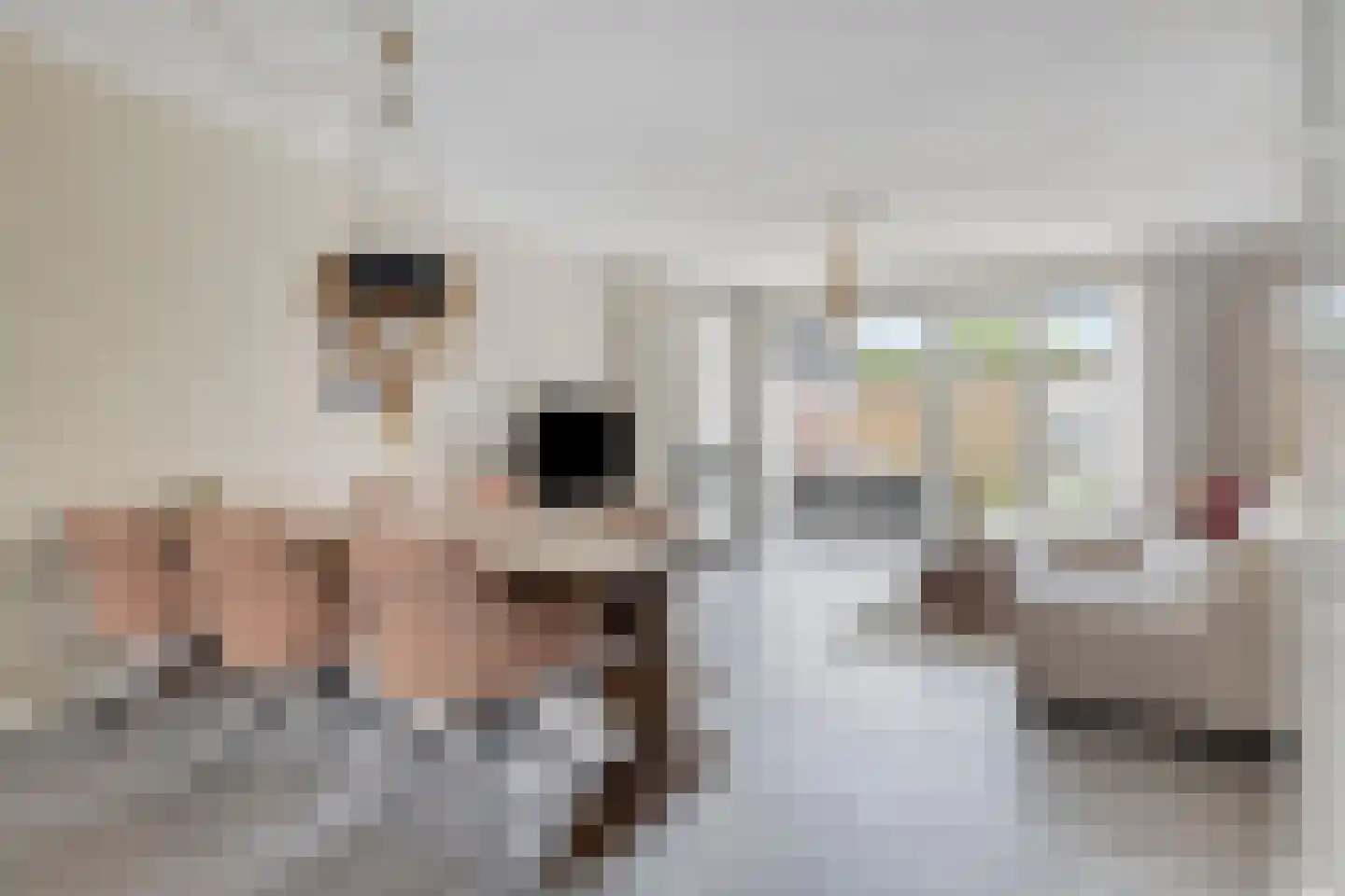 Maximastraat 48 St. Willebrord thumbnail 9