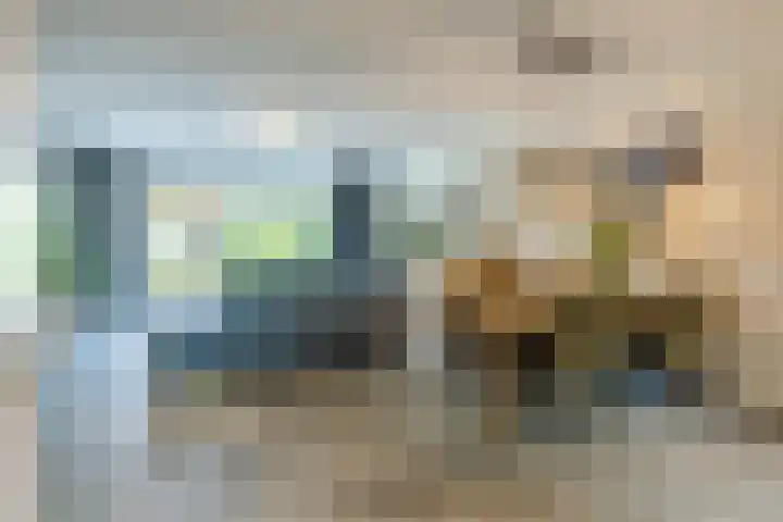 Maximastraat 62 St. Willebrord thumbnail 13