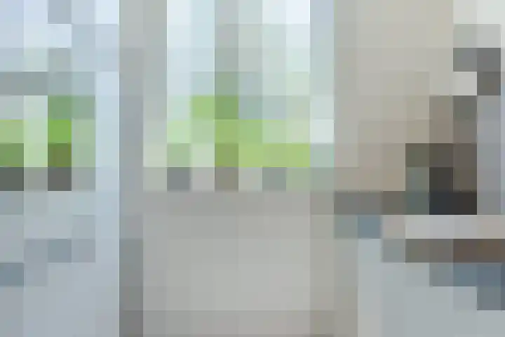 Maximastraat 62 St. Willebrord thumbnail 17