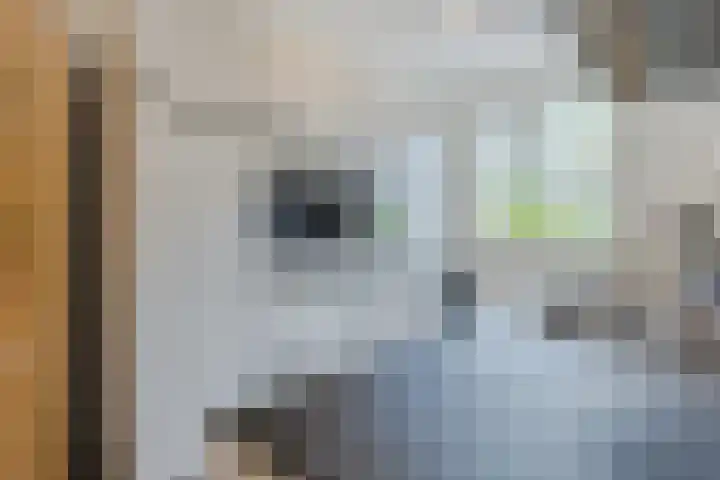 Maximastraat 62 St. Willebrord thumbnail 18