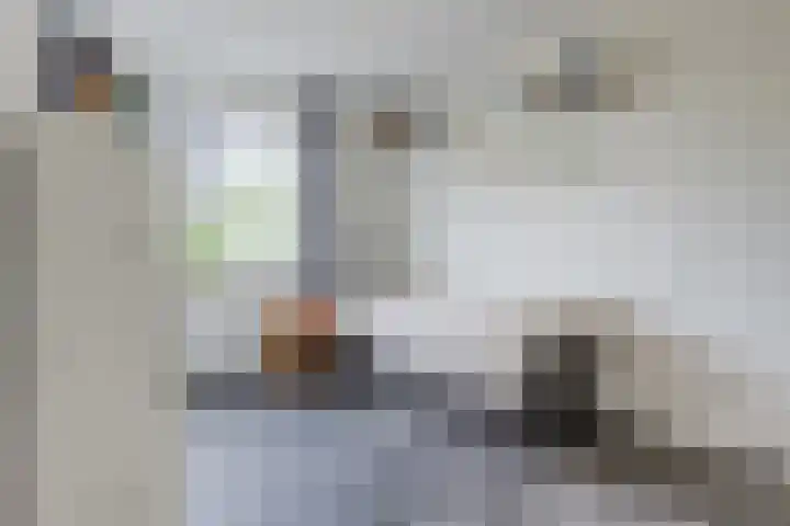 Maximastraat 62 St. Willebrord thumbnail 19