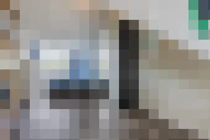 Maximastraat 62 St. Willebrord thumbnail 29
