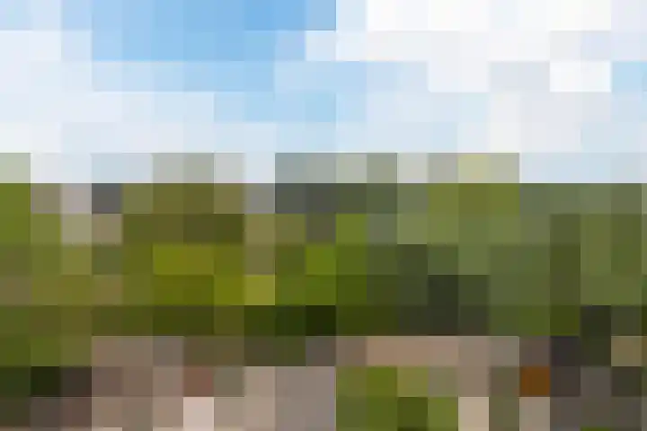 Maximastraat 62 St. Willebrord thumbnail 32