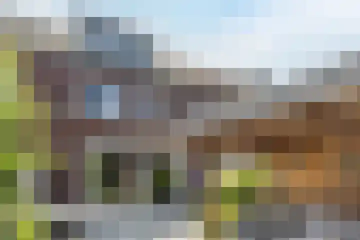 Maximastraat 62 St. Willebrord thumbnail 33