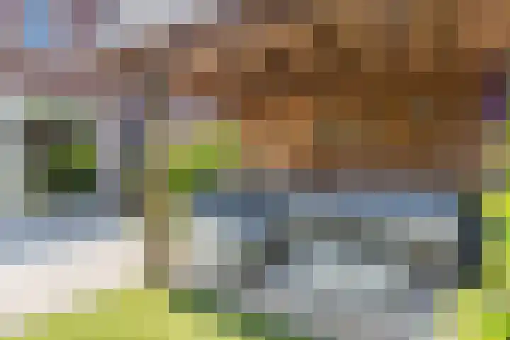 Maximastraat 62 St. Willebrord thumbnail 34