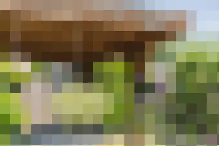 Maximastraat 62 St. Willebrord thumbnail 36