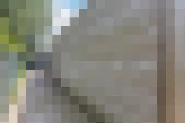 Maximastraat 62 St. Willebrord thumbnail 39