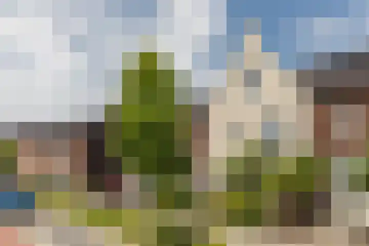 Maximastraat 62 St. Willebrord thumbnail 40