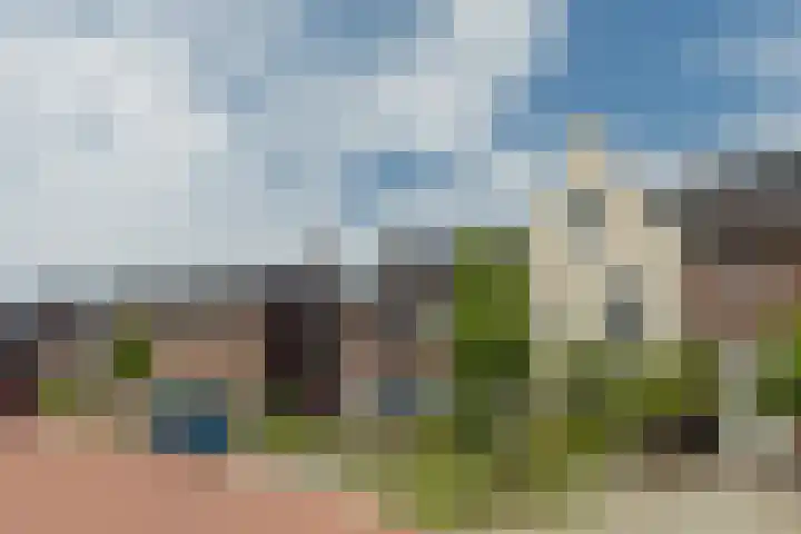 Maximastraat 62 St. Willebrord thumbnail 41