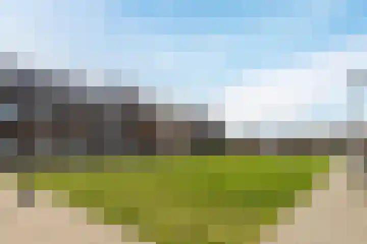 Maximastraat 62 St. Willebrord thumbnail 43